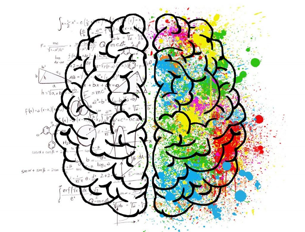 parte racional y parte emocional del cerebro